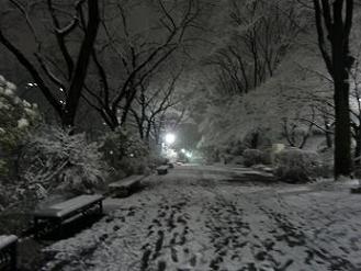 Soka Snow.JPG